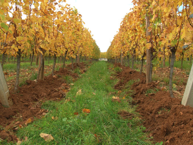 travaux_sol_01.jpg (208 KB)